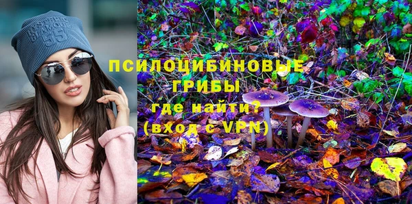 прущий лед Лагань