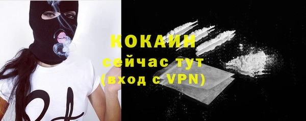 мдпв Горнозаводск