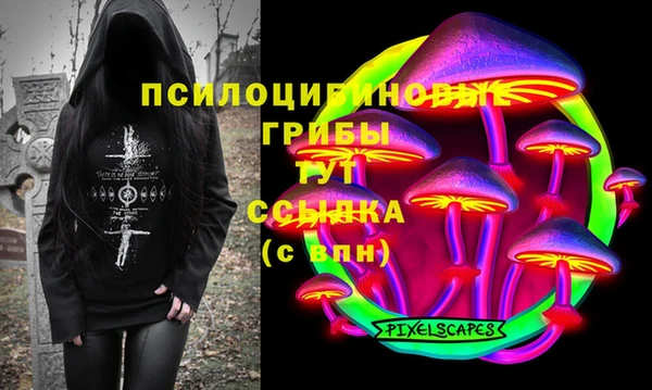 мдпв Горнозаводск