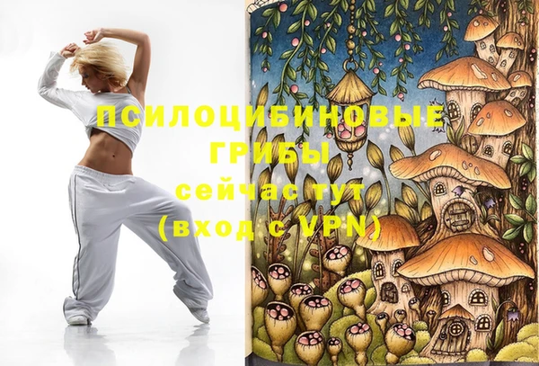 винт Горняк