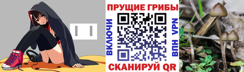 что такое   Дюртюли  Галлюциногенные грибы прущие грибы 