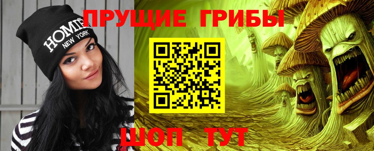 Псилоцибиновые грибы Cubensis  Вход с VPN  Дюртюли 