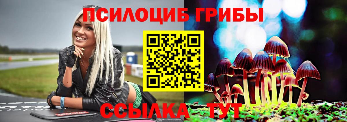 Псилоцибиновые грибы GOLDEN TEACHER Дюртюли