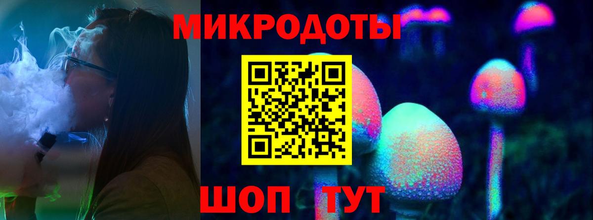 Псилоцибиновые грибы прущие грибы  Дюртюли  Псилоцибиновые грибы Psilocybine cubensis 